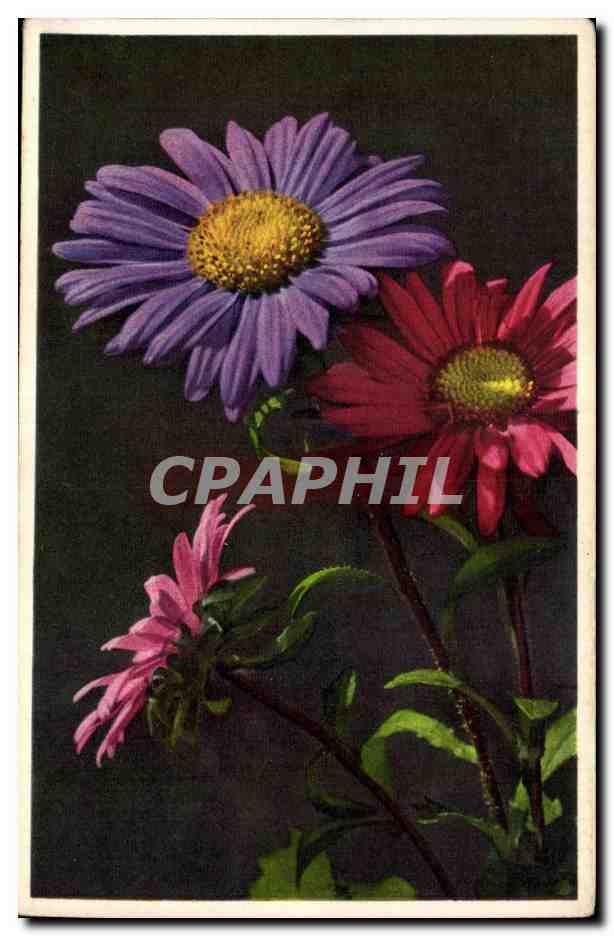 CPA Fantaisie Fleurs 