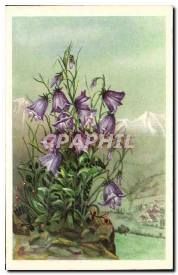 CPA Fantaisie Fleurs 