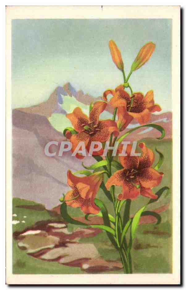 CPA Fantaisie Fleurs 