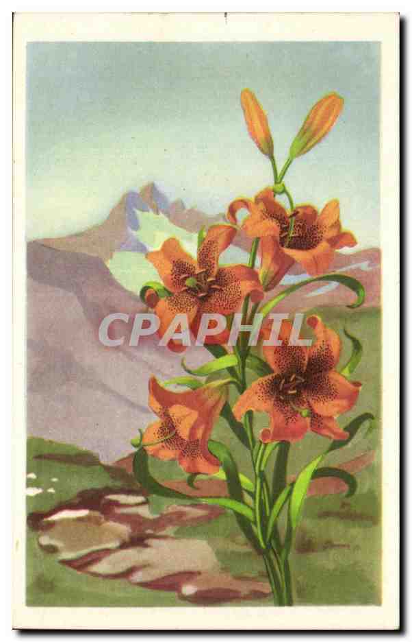 CPA Fantaisie Fleurs 