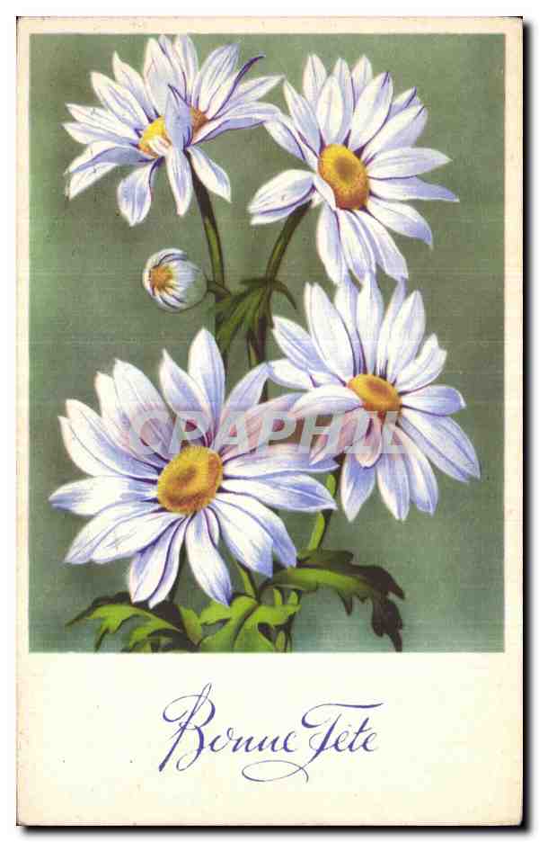 CPA Fantaisie Fleurs Bonne fete
