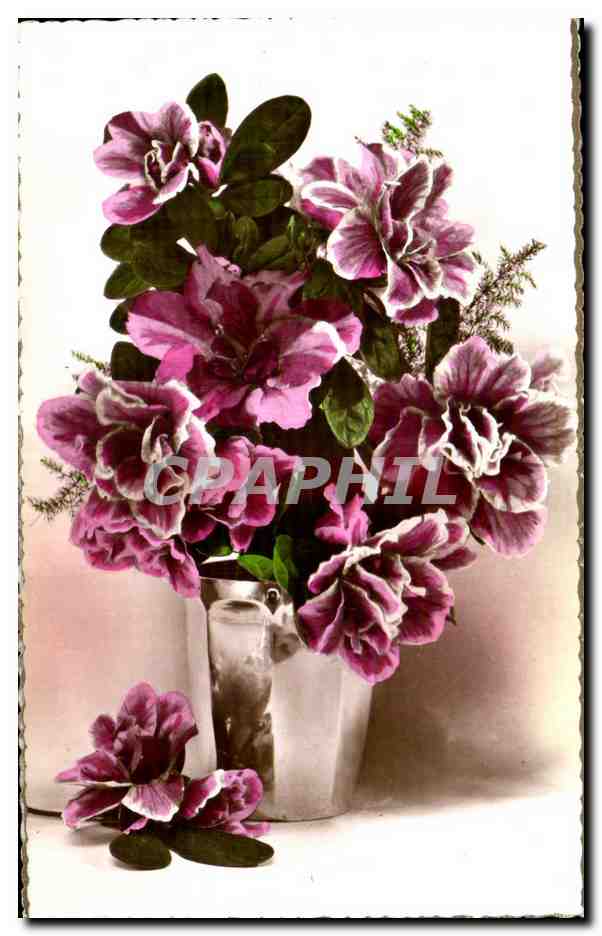 CPA Fantaisie Fleurs 