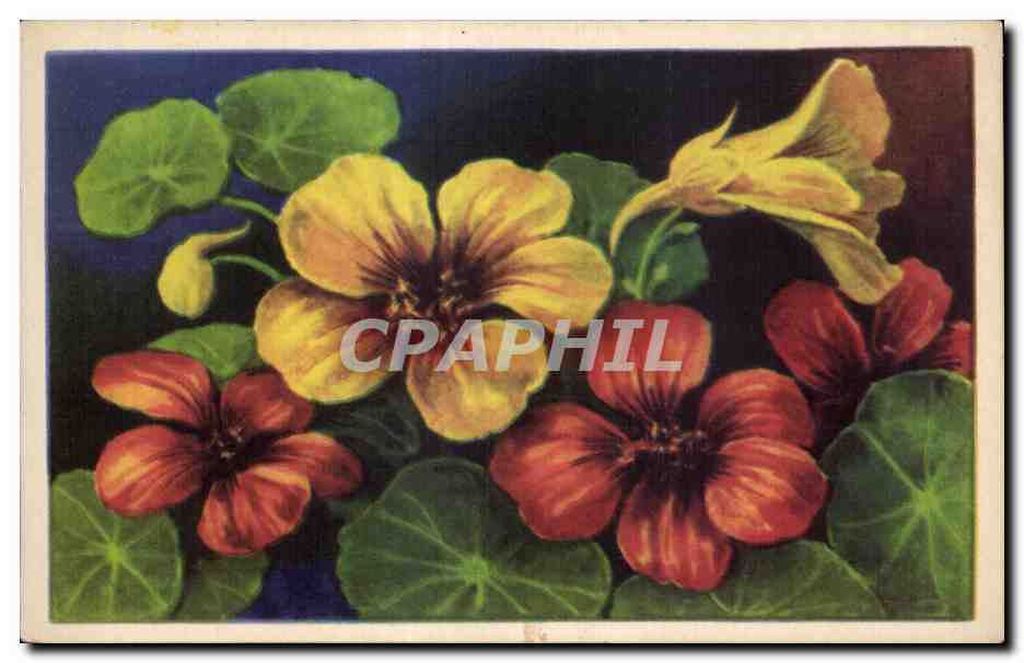 CPA Fantaisie Fleurs 