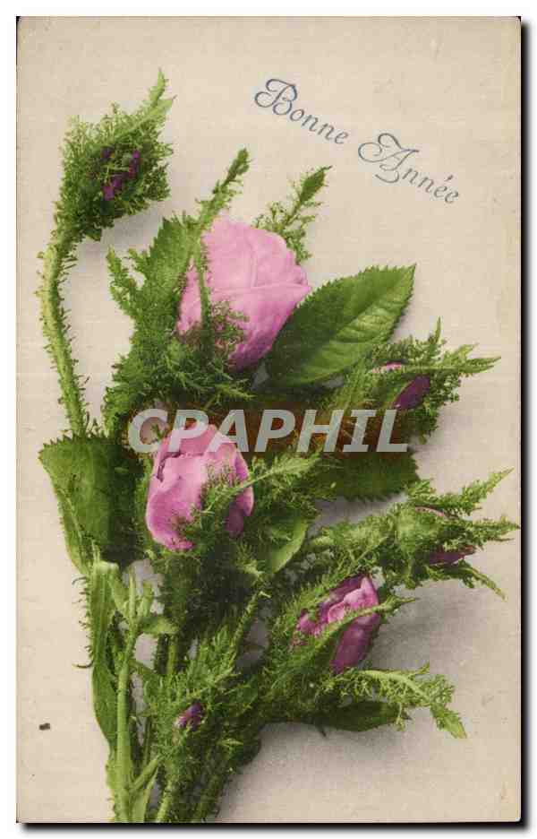 CPA Fantaisie Fleurs Bonne Annee