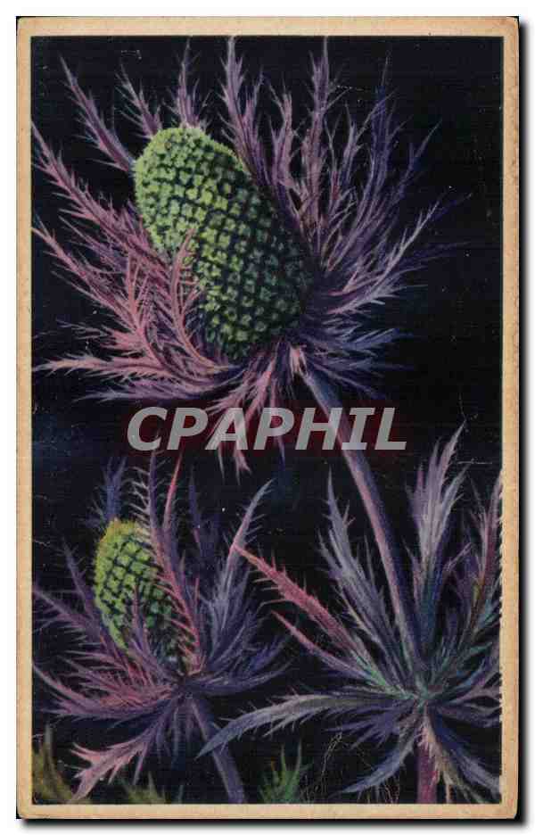 CPA Fantaisie Fleurs 