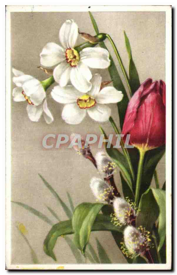 CPA Fantaisie Fleurs 