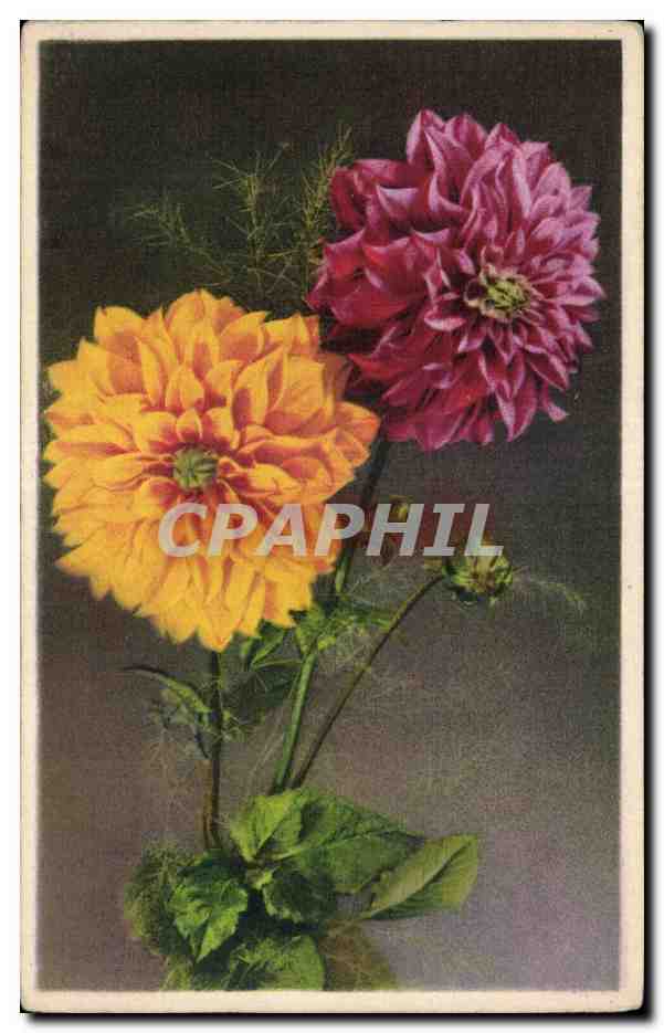 CPA Fantaisie Fleurs 