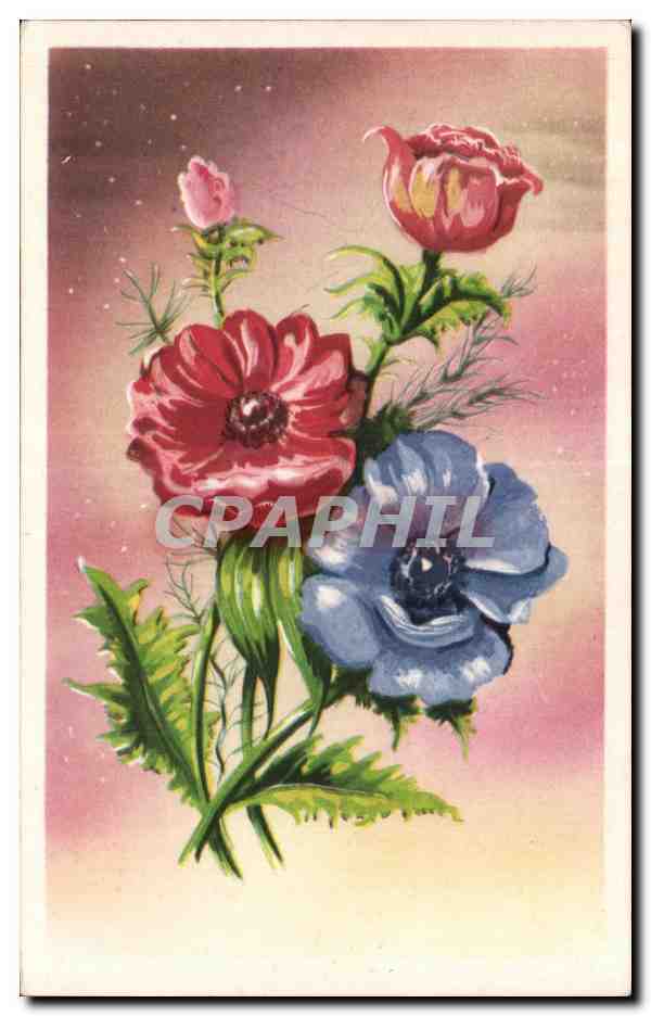 CPA Fantaisie Fleurs 