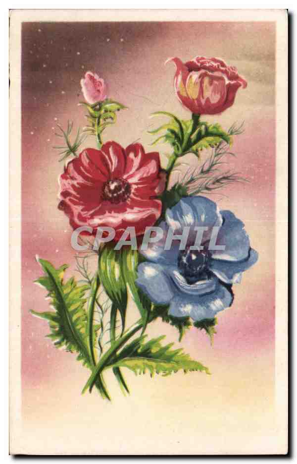 CPA Fantaisie Fleurs 