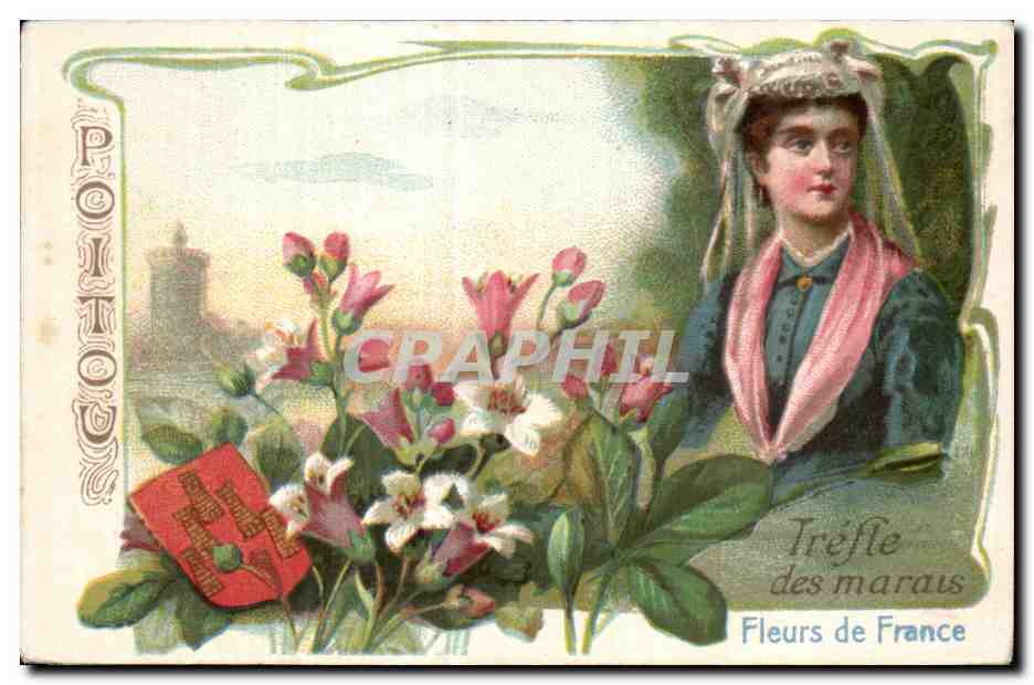 Image POITOU Trefle Des Marais 