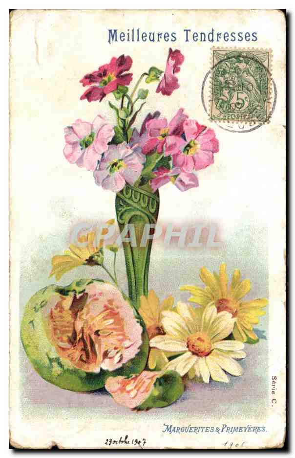 CPA Fantaisie Fleurs Meilleures Tendresses Marguerites et Primeveres