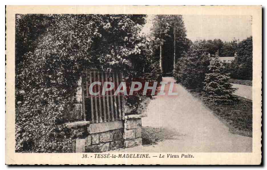 CPA Tesse la madeleine le vieux puits