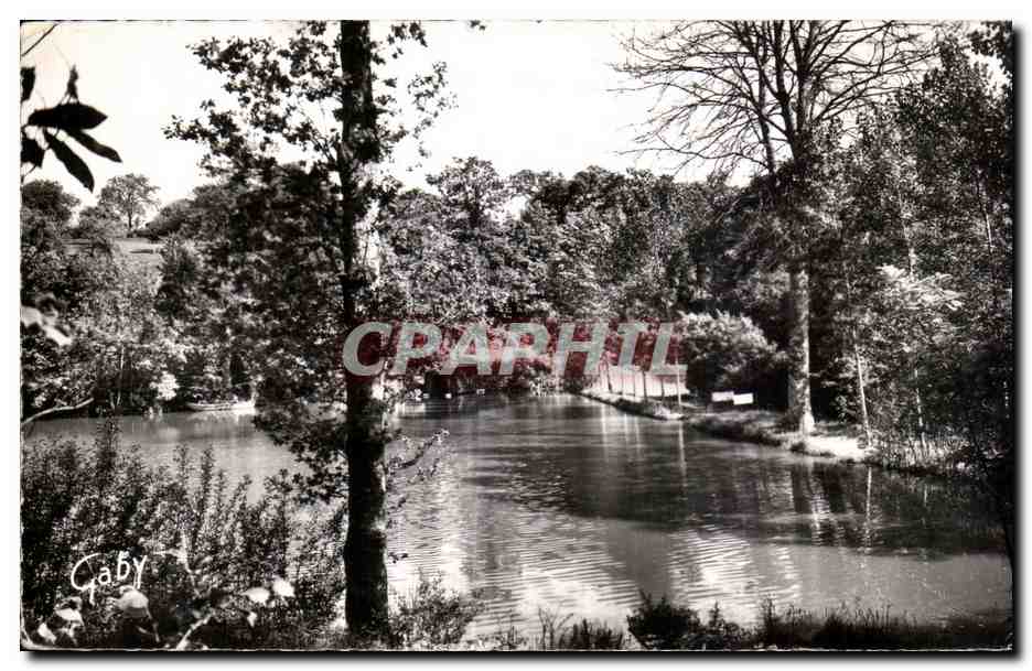 CPSM JUVIGNY-SOUS-ANDAINE (Orne) Etang au Bon Accueil 