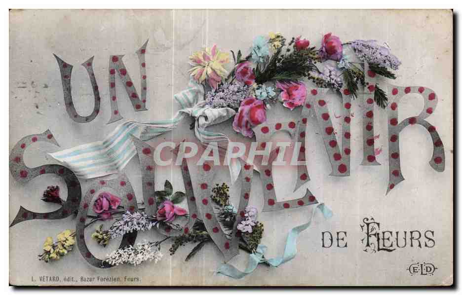 CPA Fantaisie Fleurs Souvenir 