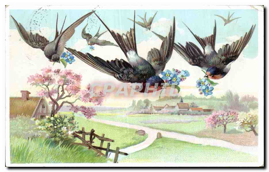 CPA Fantaisie Hirondelles Fleurs