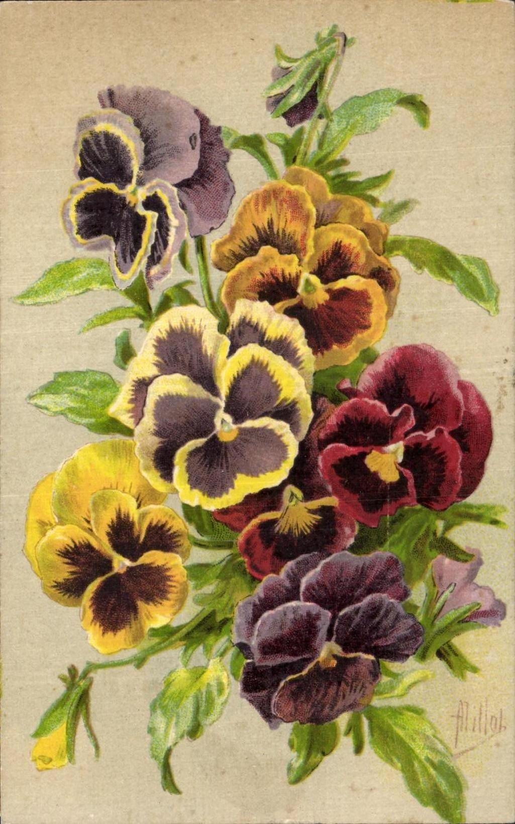 CPA Fantaisie Fleur 