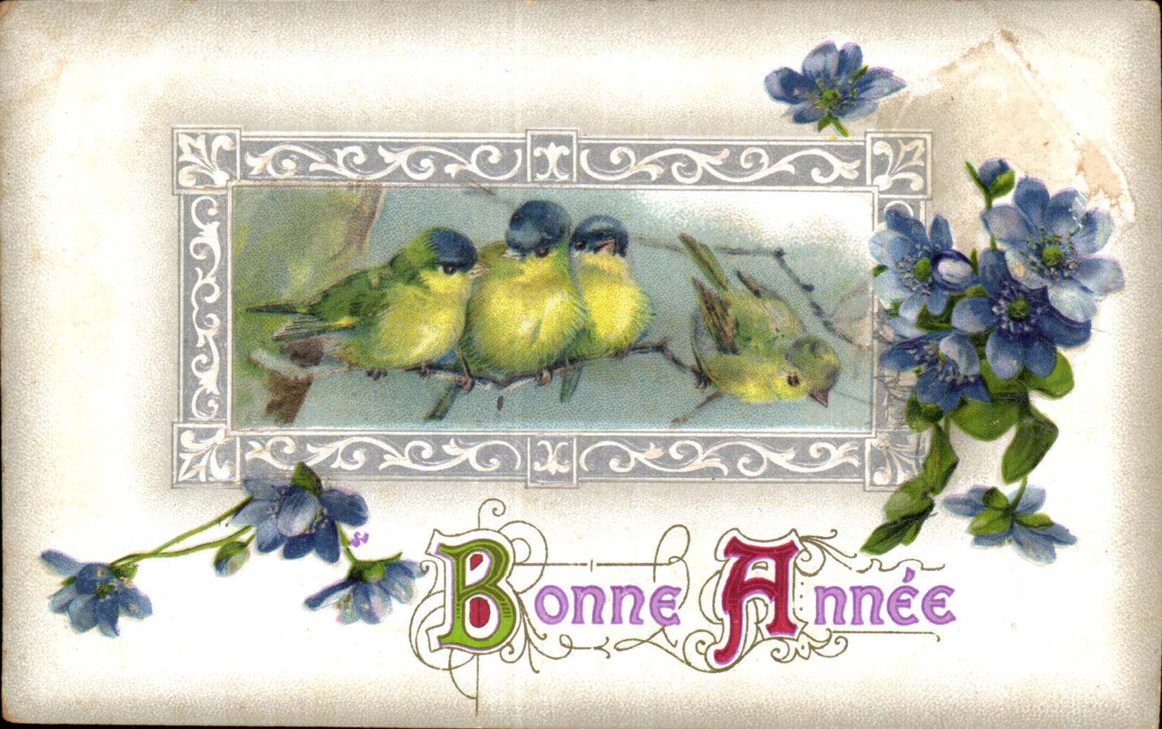 CPA Fantaisie Oiseaux Bonne annee
