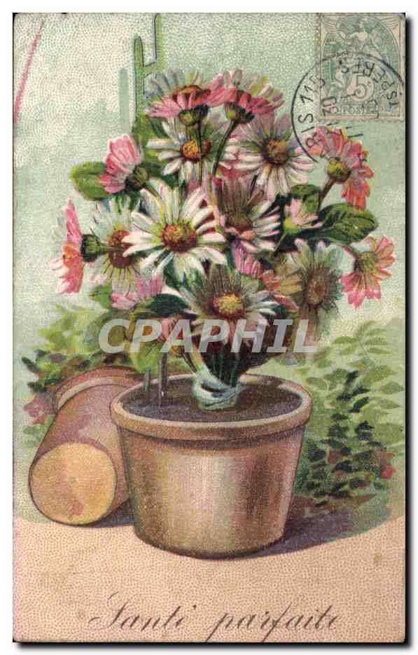 CPA Fantaisie Fleurs