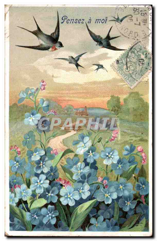 CPA Fantaisie Fleurs Hirondelles