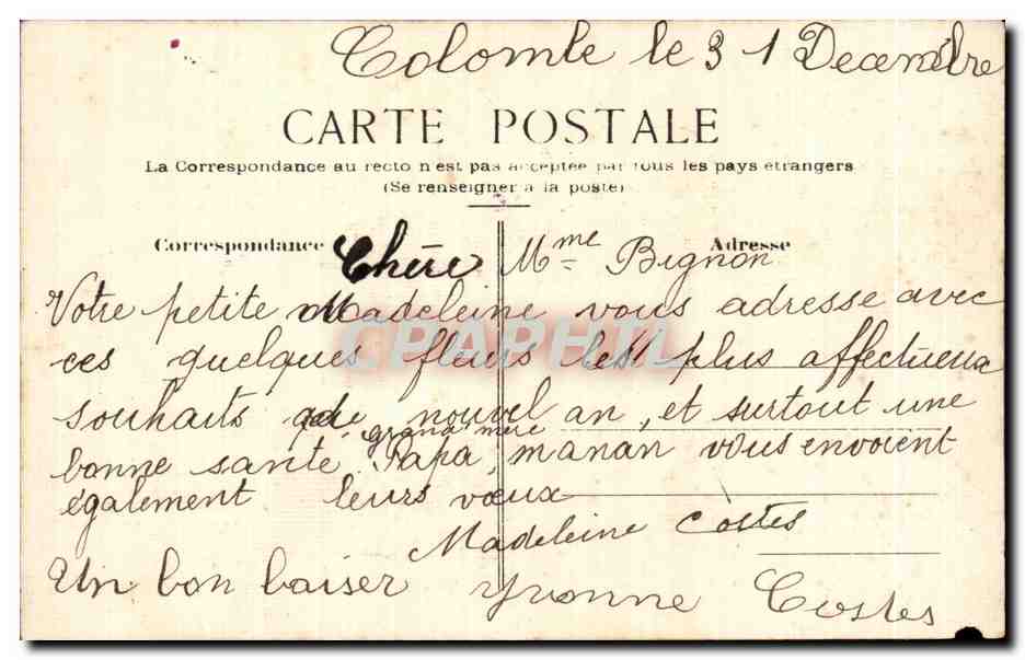 CPA Fantaisie Fleurs Bonne annee — Verso