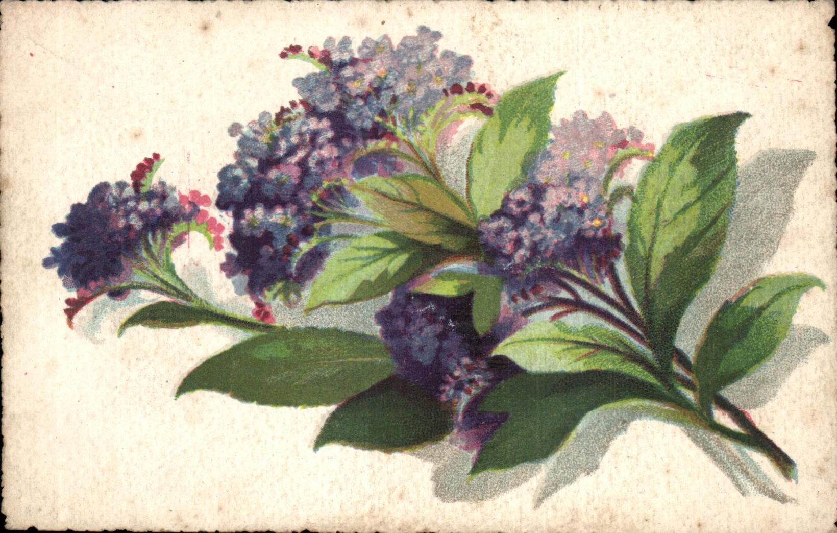 CPA Fantaisie Fleurs 
