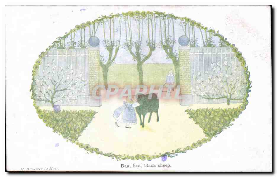 CPA Black sheep mouton 
