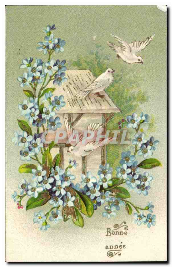 Pigeons et fleurs — Bonne année — éditeur non visible