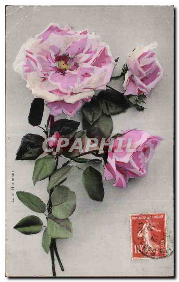CPA Fantaisie Fleurs Roses