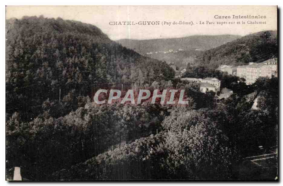 CPA CHATEL-GUYON (Puy-de-Dome) - Le Parc superieur et le Chalumet