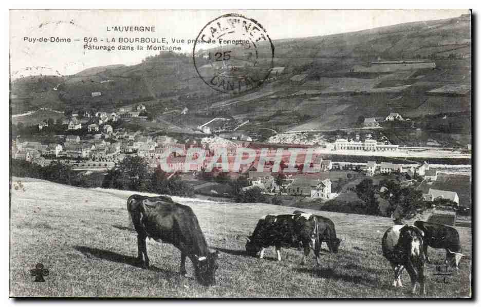 CPA LA BOURBOULE Paturage dans la montagne Vaches 