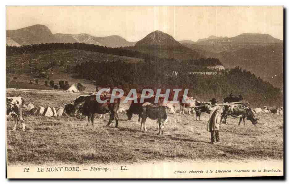 CPA Le Mont Dore Paturage Berger Vaches