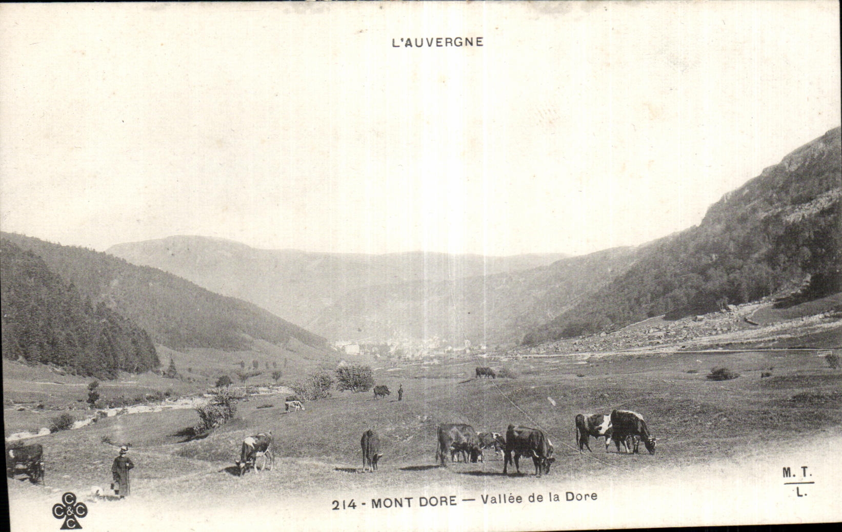 CPA Le Mont Dore Vallee de la Dore Vaches