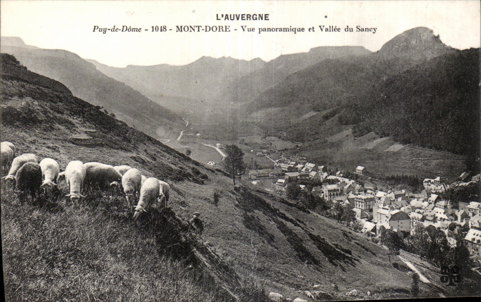 CPA Le Mont Dore Vue panoramique et vallee du Sancy Moutons 