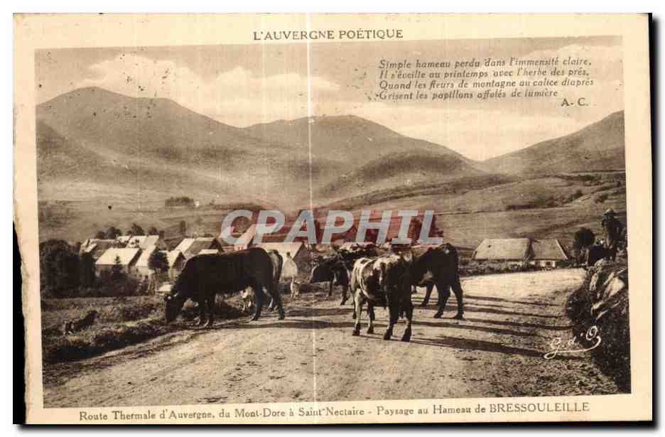CPA Le Mont Dore a Saint Nectaire Paysage au Hameau de BRESSOULEILLE
