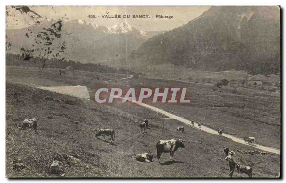 Vallée du Sancy — Pâturage — Éditeur : CPAPHIL, n° 466