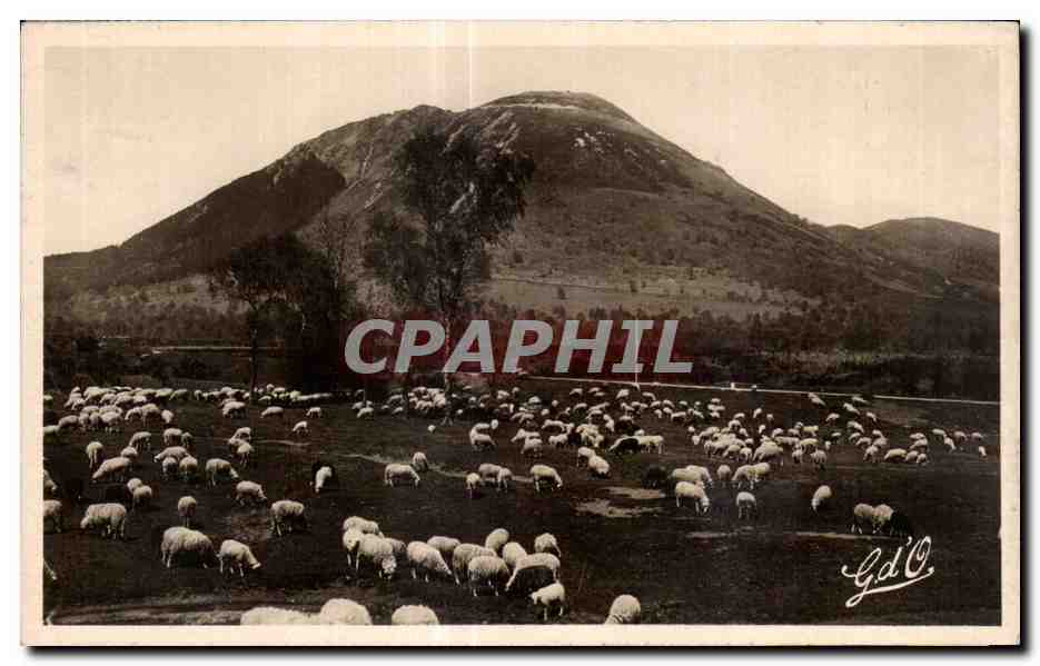 Moutons dans un champ — montagne en arrière-plan — Gd'O