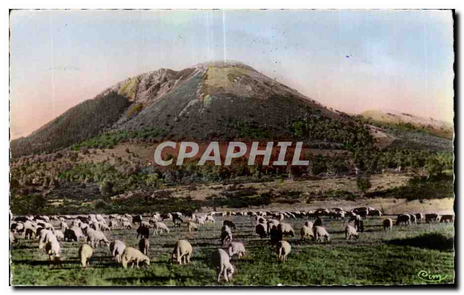 Montagne avec troupeau de moutons — vue colorisée — CPAPHIL