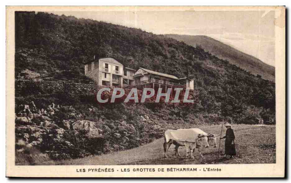 CPA Les Pyrenees les grottes de betharram L Entree paysanne et vaches