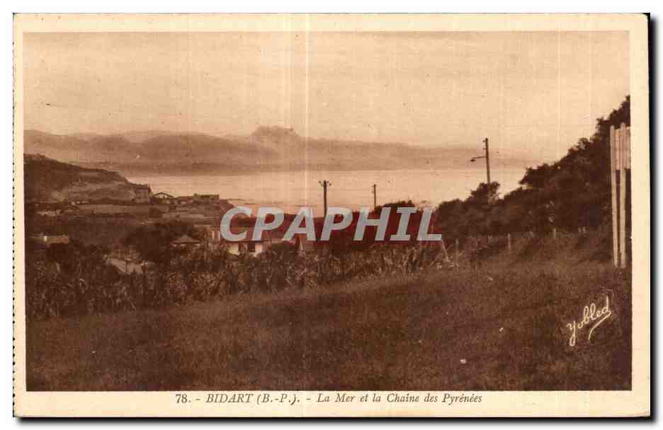 CPA Bidart (B P ) La Mer et la Chaine des Pyrenees