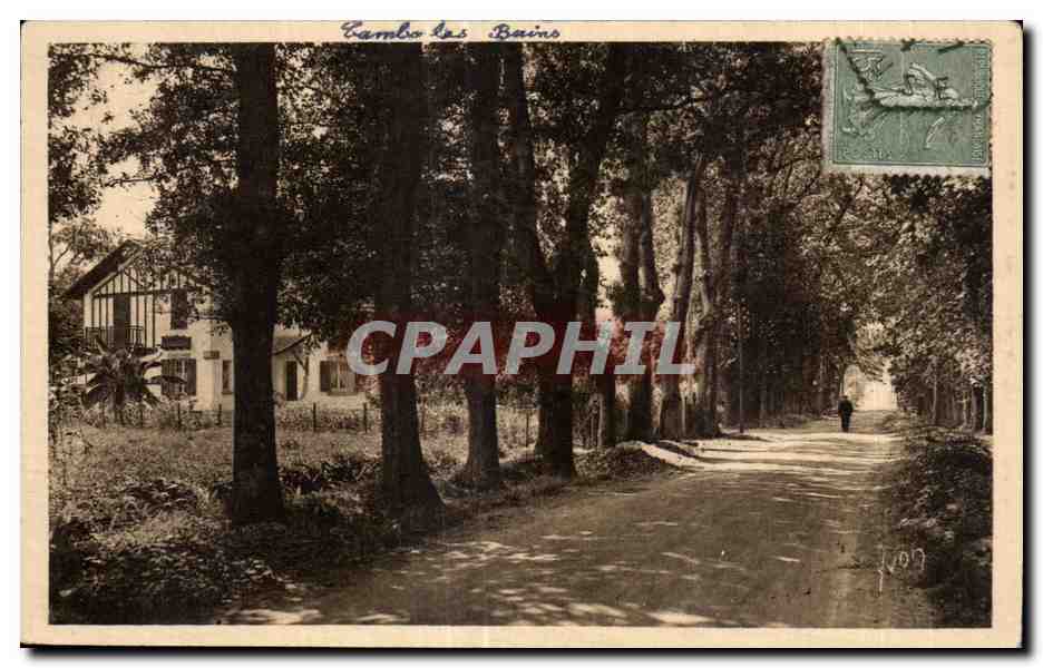Cambo-les-Bains — Allée arborée avec maison — éditeur inconnu, n° de série non visible