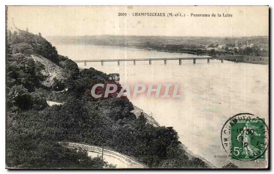 CPA Champtoceaux (m et L) Panerama de la Leire