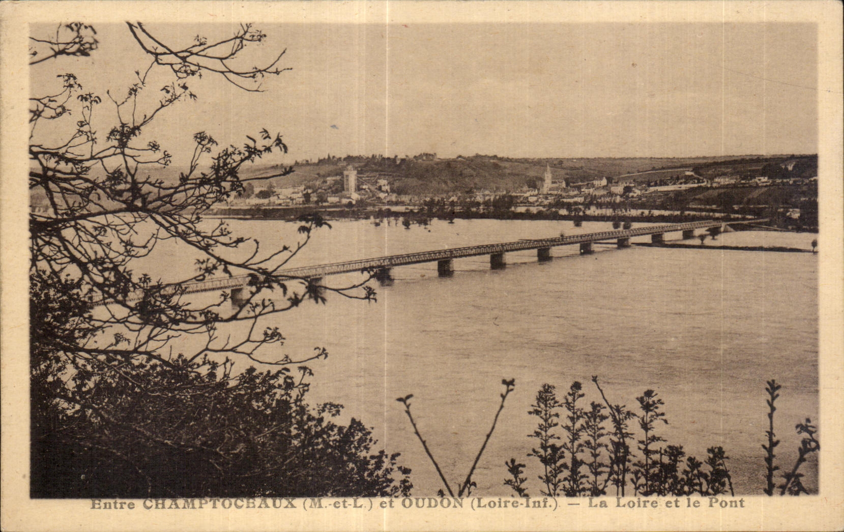 CPA Champtoceaux (m et L) et Oudon (Loire Inf) La Loire et le Pont