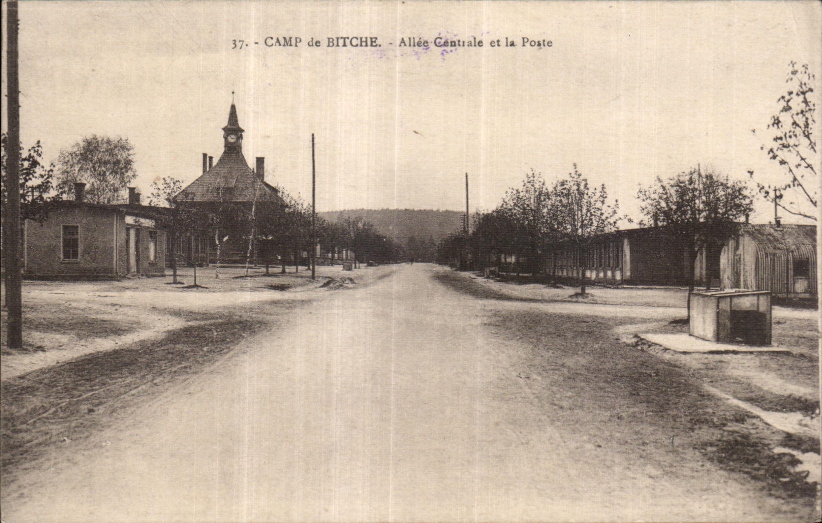 CPA Camp de Bitche Allee Cantrale et la Poste Militaria 