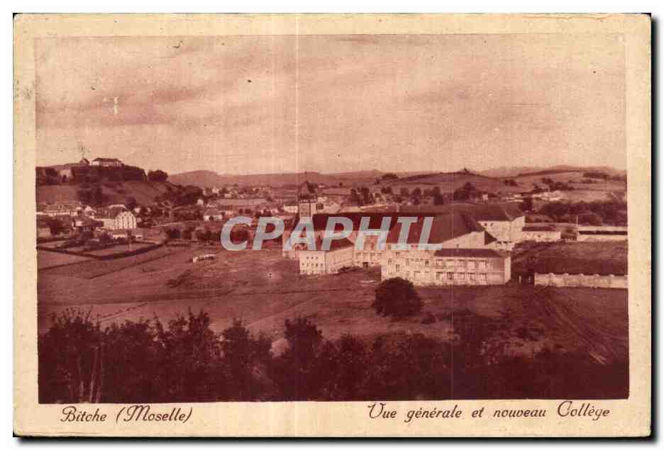 CPA Bitche (Moselle) Vue generale et nouveau College