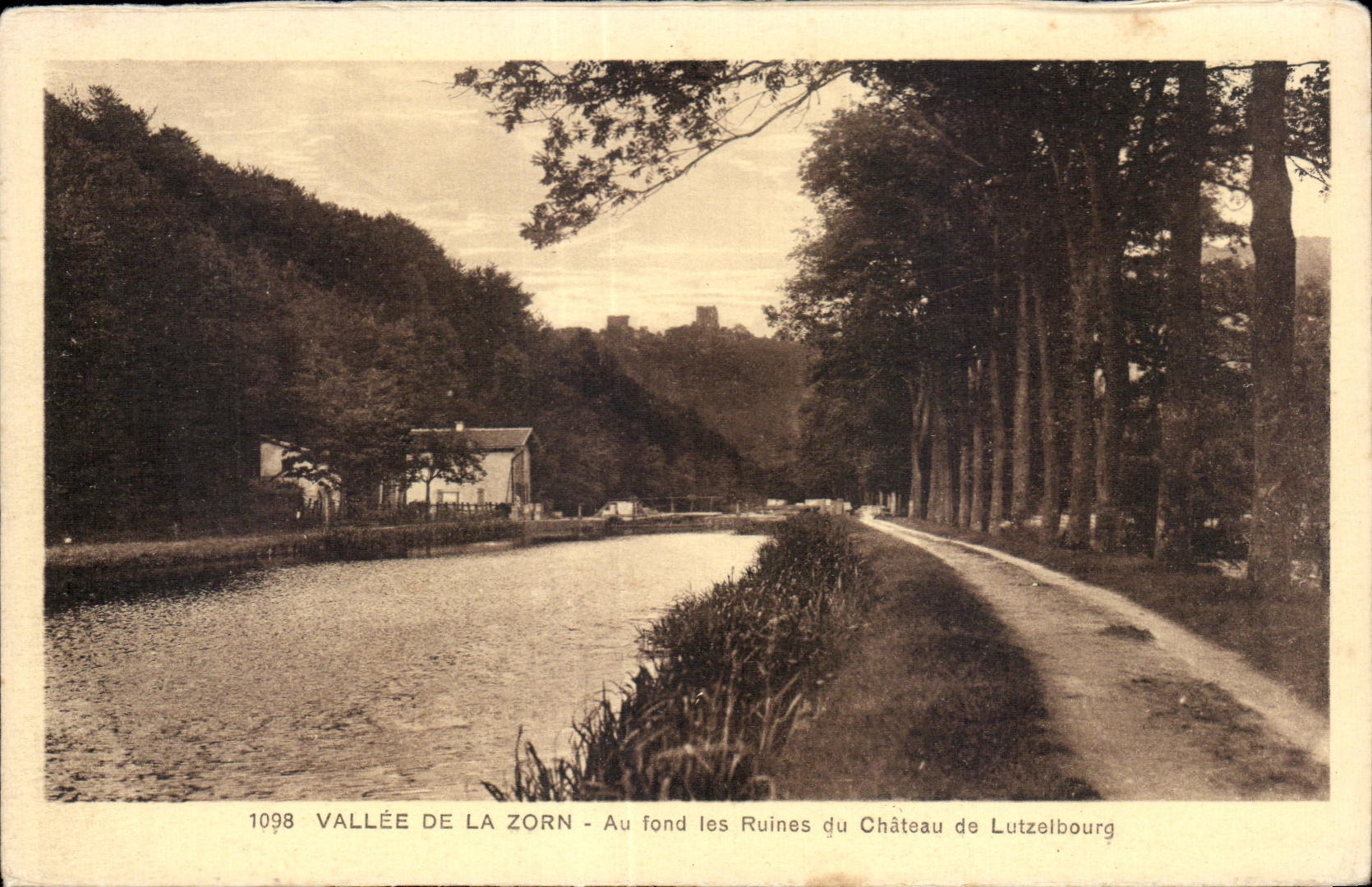Vallee de la Zorn - Au fond les Ruines du Chateau de Lutzelbourg - CPA 
