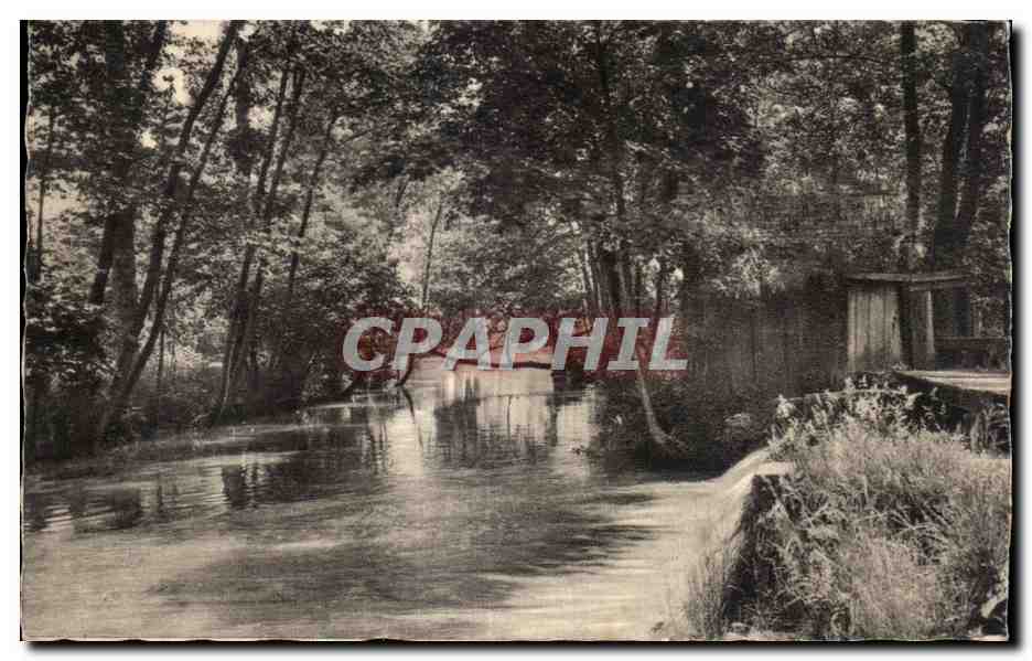 CPA Cosne sur Loire (Nievre) Les Bords du Nohain