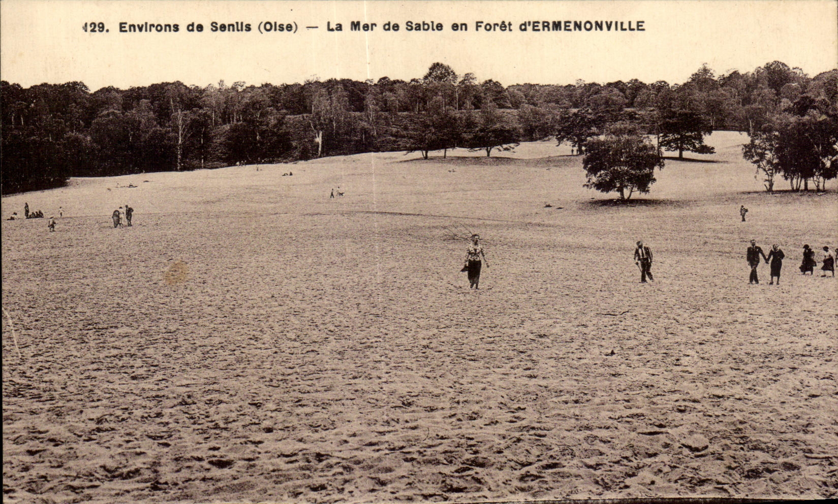 CPA Environs de Senlls (Oise) Le Mer de Sable en Foret d Ermenonville