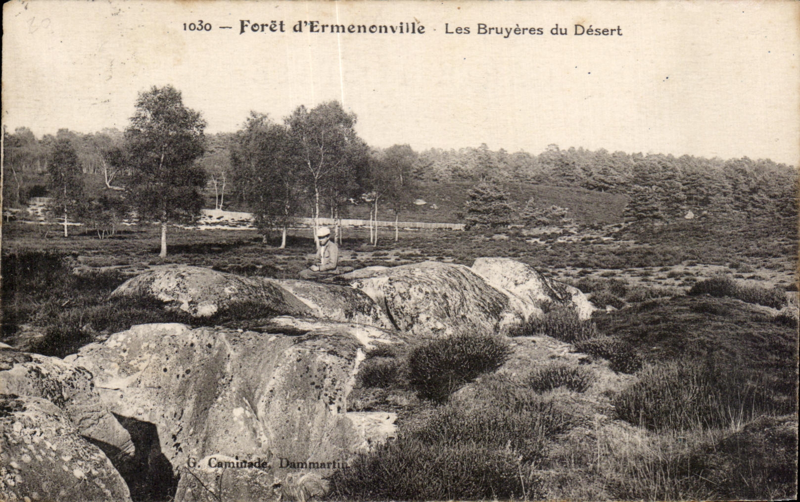 Forêt d'Ermenonville — Les Bruyères du Désert — G. Caminade Dammartin