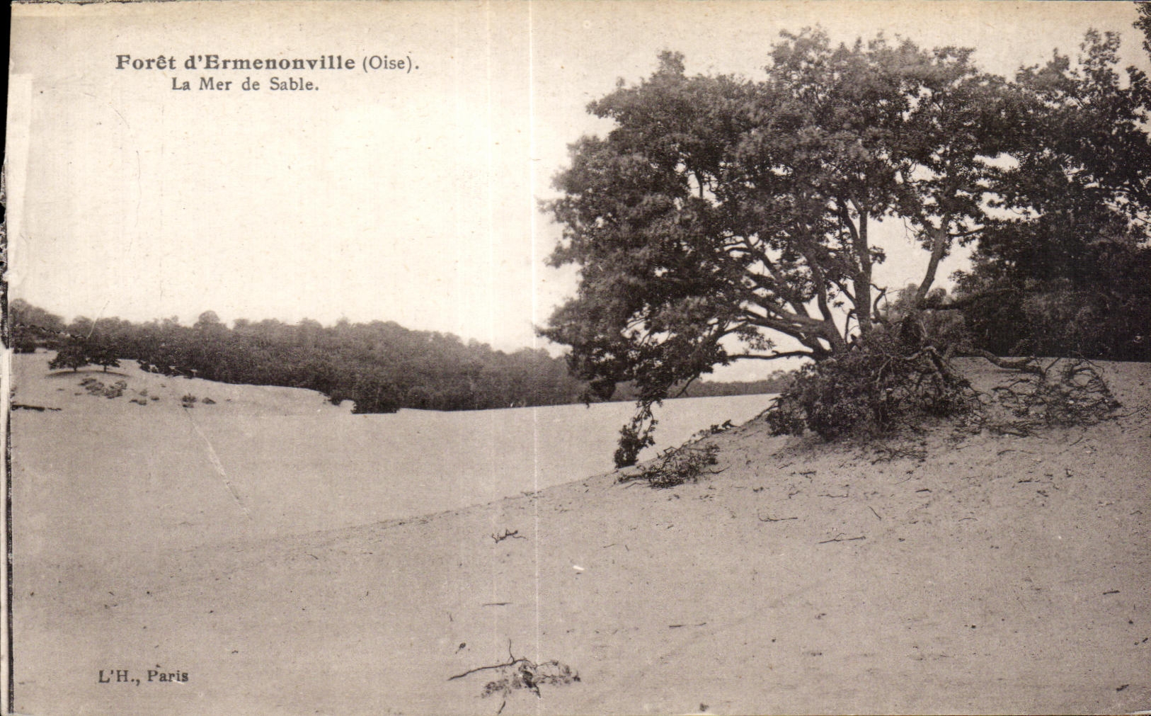 Forêt d'Ermenonville (Oise) — La Mer de Sable — L'H., Paris