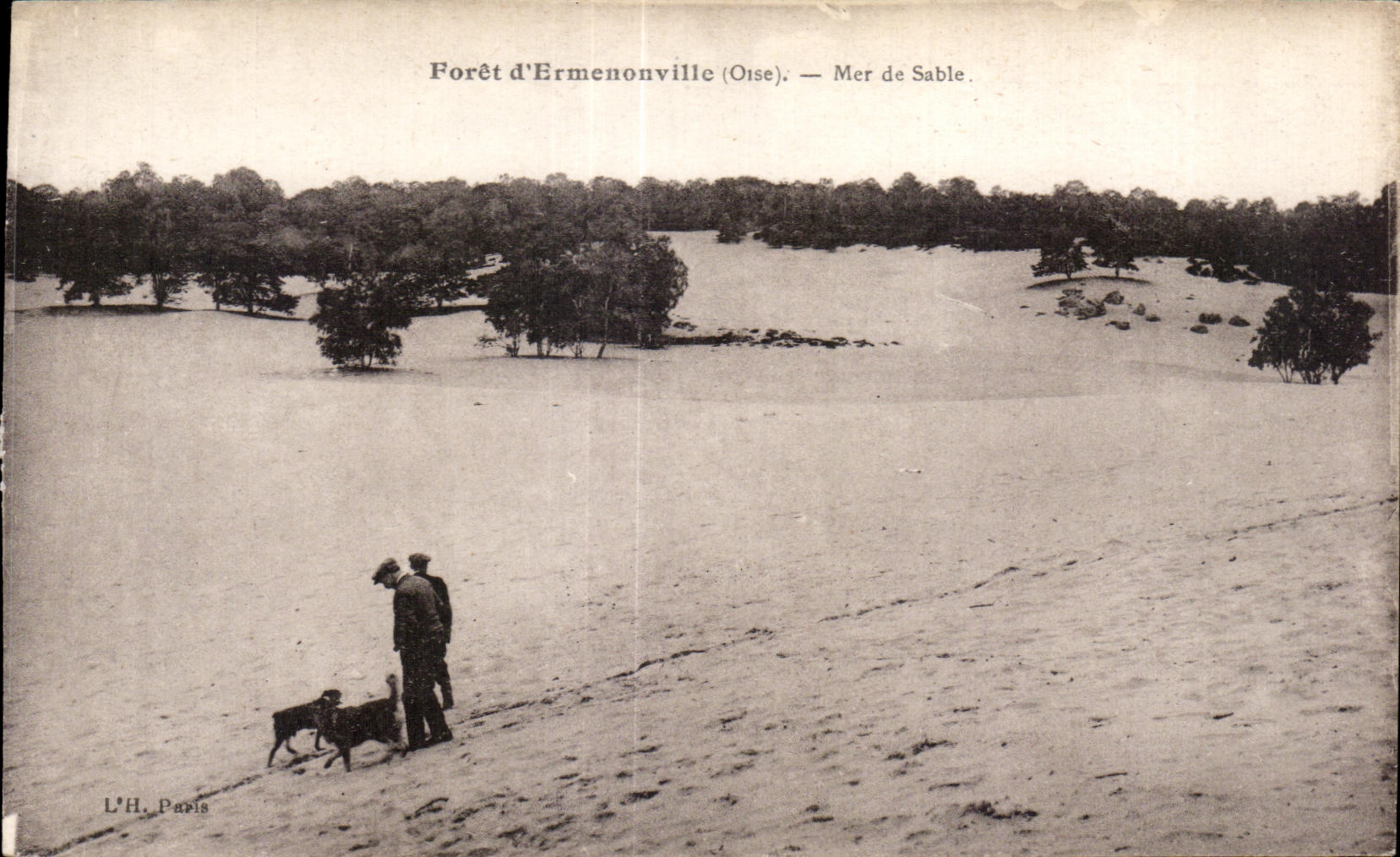 CPA Foret d Ermenonville (Oise) La Mer de Sable